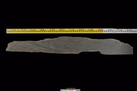 藏品(石板)的圖片