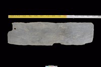 藏品(東側板)的圖片