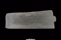 藏品(石板)的圖片