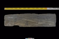 藏品(西側板)的圖片