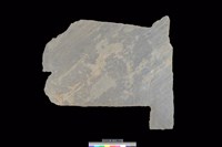 藏品(石板)的圖片