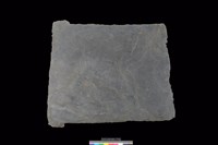 藏品(南端板)的圖片