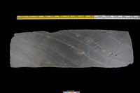 藏品(東側板)的圖片