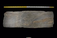 藏品(石板)的圖片