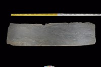 藏品(東側板)的圖片