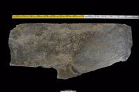 藏品(石板)的圖片