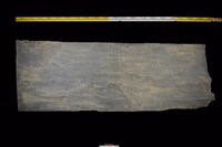 藏品(石板)的圖片