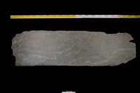 藏品(石板)的圖片