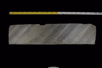 藏品(西側板)的圖片