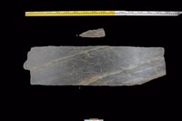 藏品(東側板)的圖片