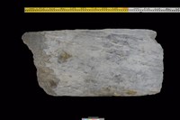 藏品(石板)的圖片