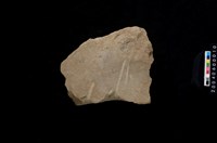 藏品(砥石)的圖片