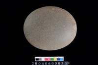 藏品(石錘)的圖片