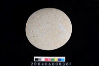 藏品(石錘)的圖片