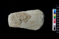 藏品(打製石斧)的圖片