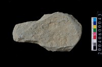 藏品(打製石斧)的圖片