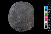 藏品(板岩片)的圖片