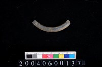 藏品(石環)的圖片