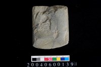 藏品(石錛)的圖片