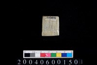 藏品(玉錛)的圖片