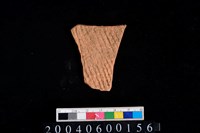 藏品(繩紋腹片)的圖片