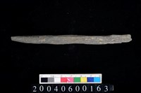 藏品(石針)的圖片