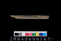 藏品(石針)的圖片