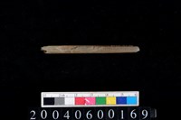 藏品(石針)的圖片