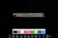 藏品(石針)的圖片