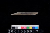 藏品(石針)的圖片