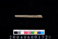 藏品(石針)的圖片