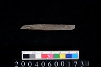 藏品(石針)的圖片