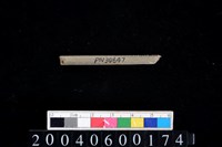 藏品(石針)的圖片