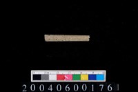 藏品(石針)的圖片