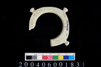 藏品(帶四突起環狀玦形玉耳飾)的圖片