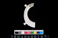 藏品(帶四突起環狀玦形玉耳飾)的圖片