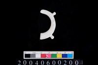 藏品(帶四突起環狀玦形玉耳飾)的圖片