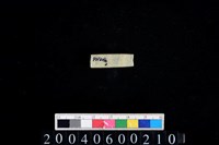 藏品(玉管珠)的圖片