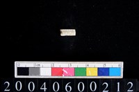 藏品(玉管珠)的圖片