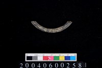 藏品(陶環殘件)的圖片