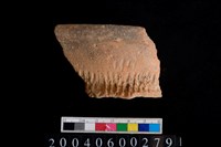 藏品(繩紋罐口緣)的圖片