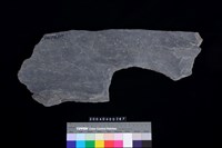 藏品(板岩片)的圖片