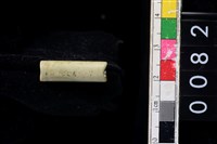 藏品(玉管珠)的圖片