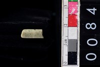 藏品(玉管珠)的圖片