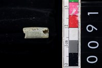 藏品(玉管珠)的圖片