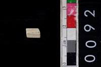 藏品(玉管珠)的圖片