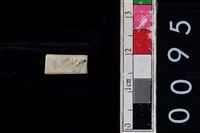 藏品(玉管珠)的圖片