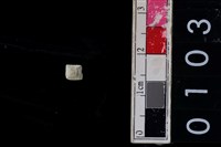 藏品(玉管珠)的圖片