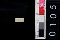 藏品(玉管珠)的圖片