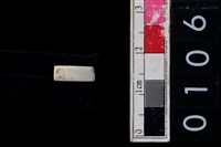 藏品(玉管珠)的圖片